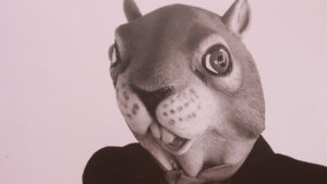 The Squirrels of Los Molinos Street